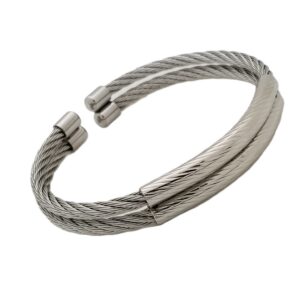 Double Bar Stainless Bangle w/Silver Accents