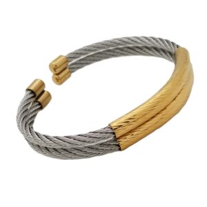 Double Bar Stainless Bangle w/Gold Accents