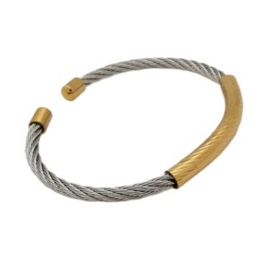 Single Bar Stainless Silver Bangle w/Gold Accents