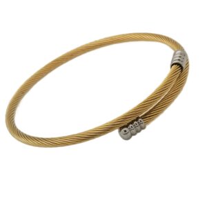 Stainless Gold with Silver Ends