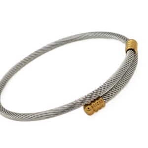 Stainless Silver with Gold Ends